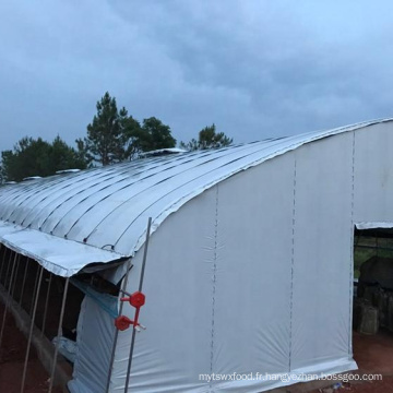 Greenhouse de champignons à une surface unique d&#39;occurrence agricole